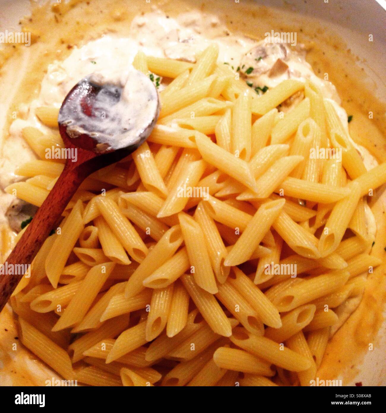 Maccheroni con funghi salsa alla panna Foto Stock