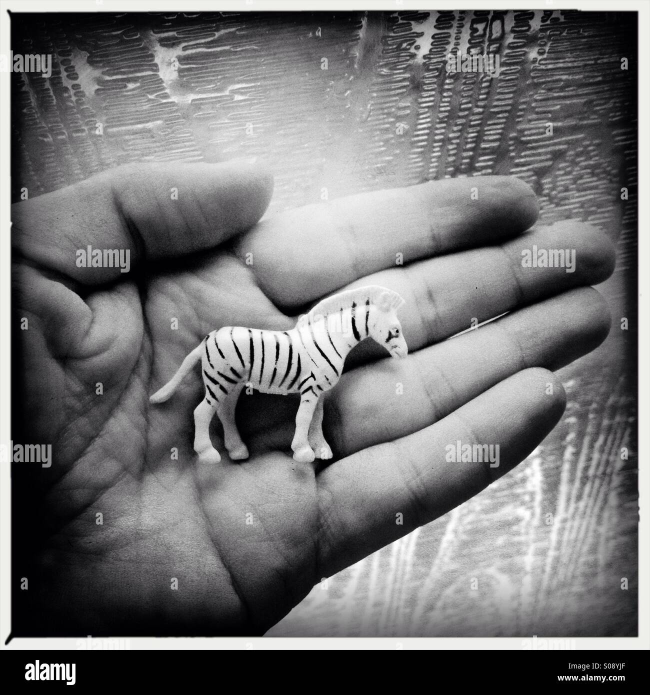 Toy zebra in mano Foto Stock