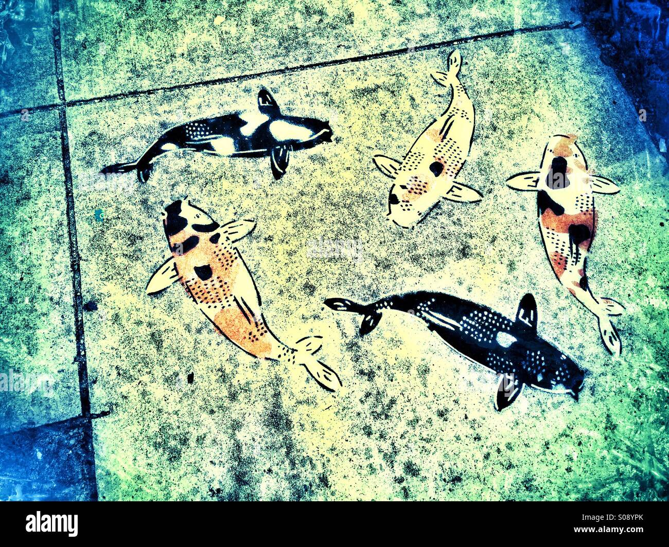 Grungy foto del pesciolino dipinta sul marciapiede Foto Stock