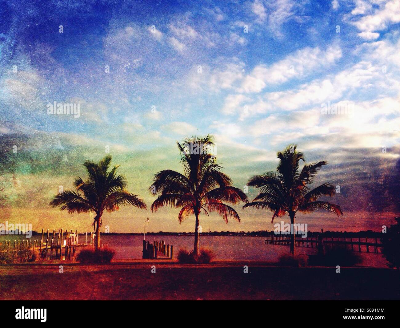 Tre palme sul fiume Manatee in Palmetto, Florida al tramonto. Foto Stock
