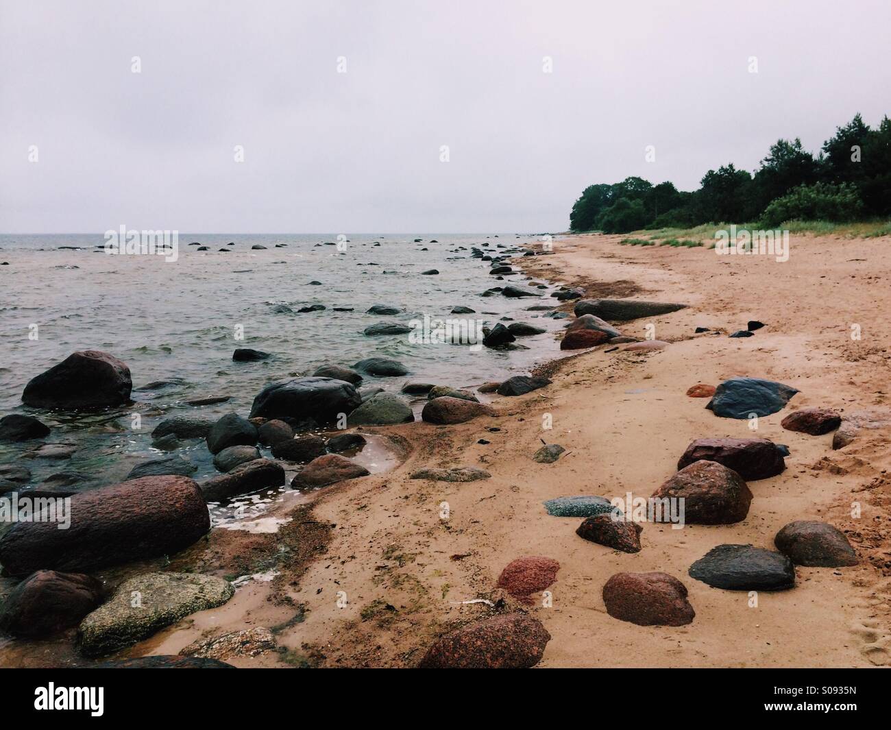 Kaltene beach, Golfo di Riga, Mar Baltico, la Lettonia Foto Stock