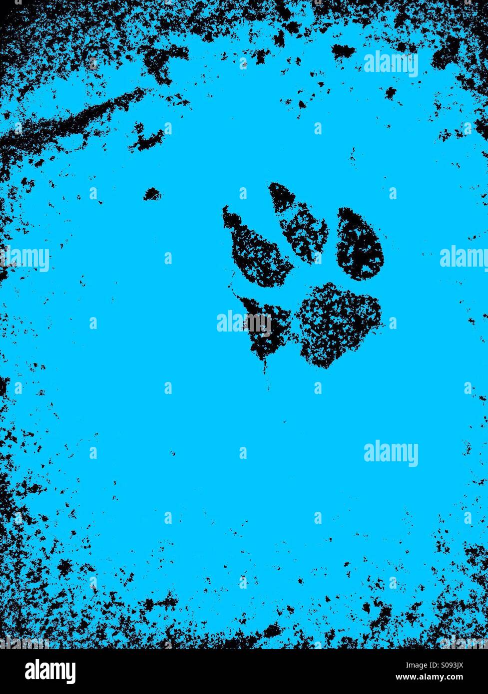 Zampa del cane stampa nella neve - Immagine stock catturata con smartphone