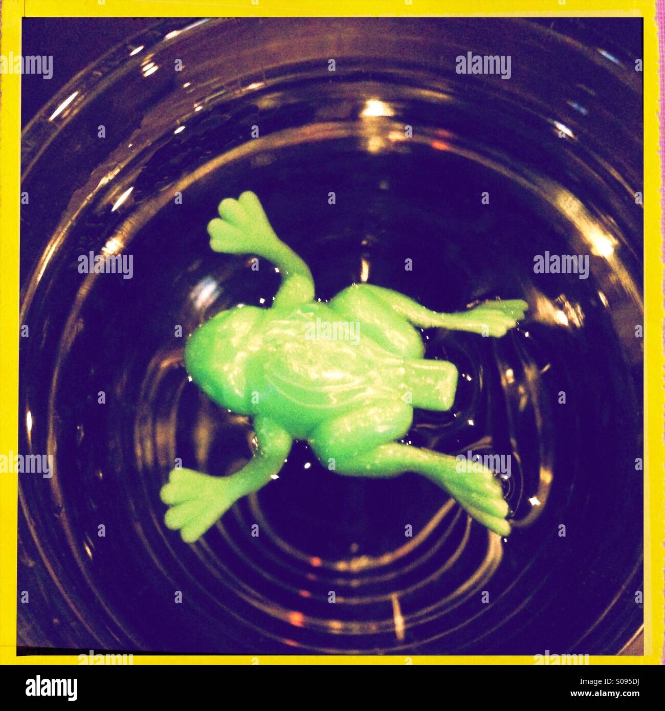C'è una rana nel mio drink Foto Stock