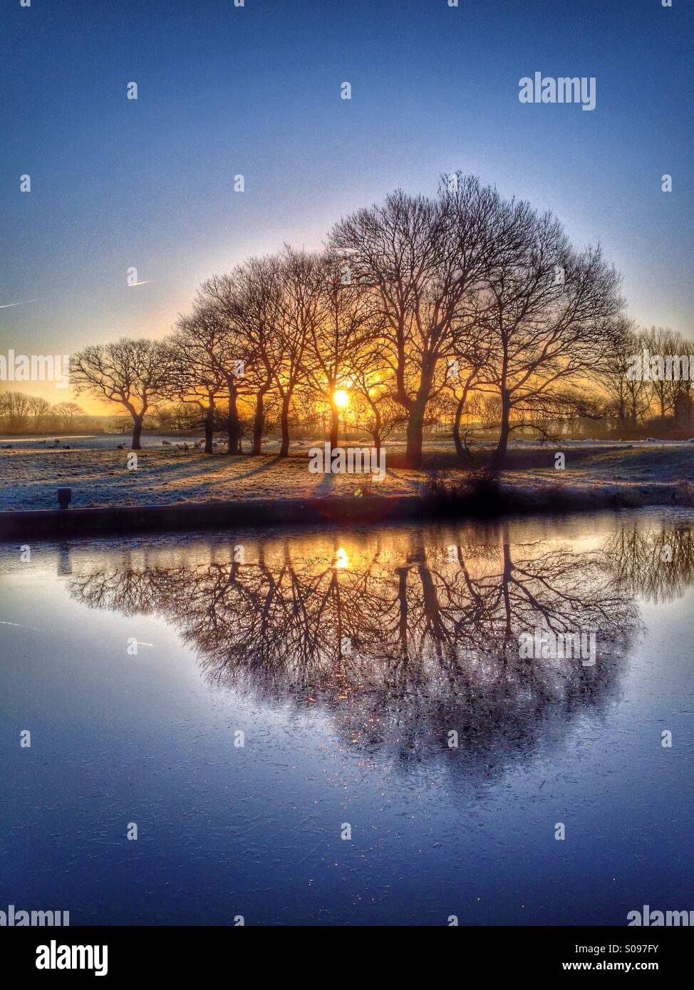 La riflessione di alberi a sunrise nel canale congelati Foto Stock