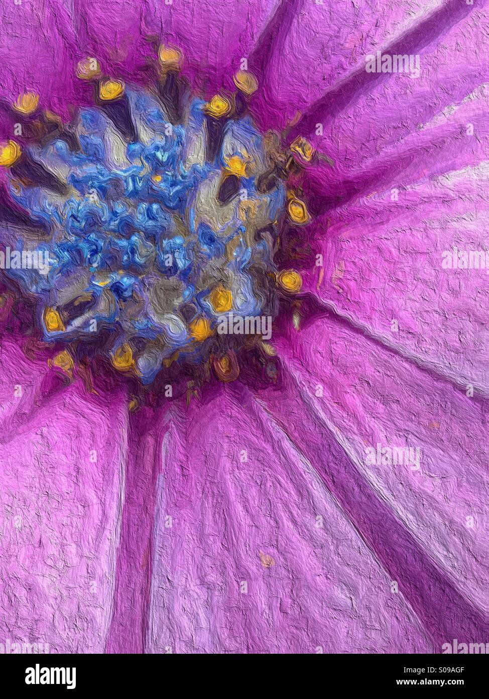 Arte effetto sul cape daisy - Immagine stock catturata con smartphone