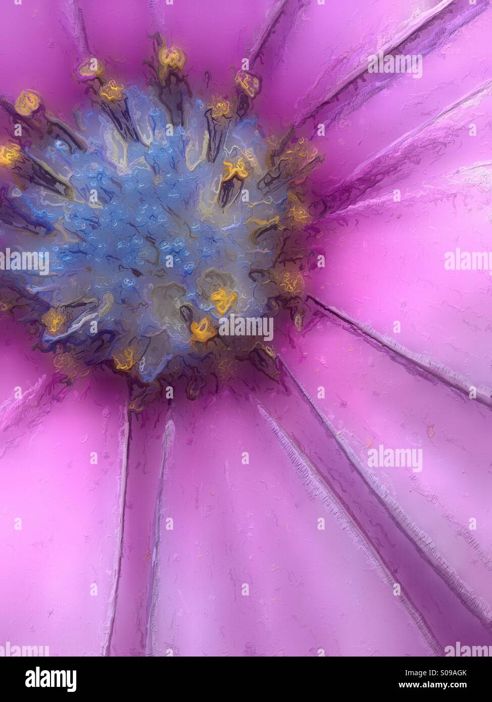 Arte effetto sul cape daisy - Immagine stock catturata con smartphone