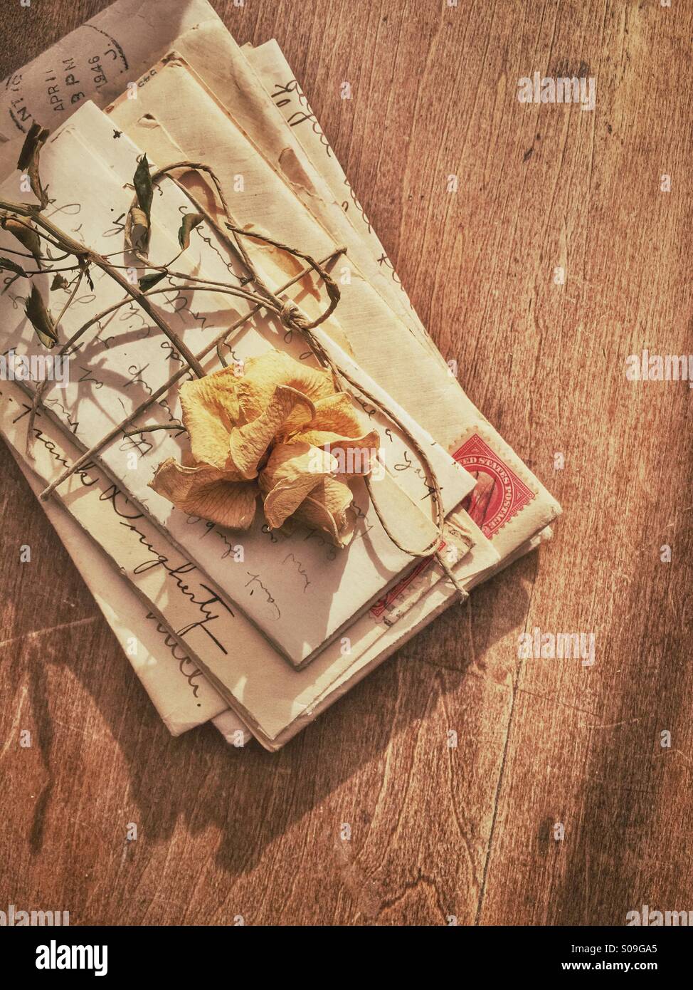 Rosa appassita su vecchie lettere d'amore. Foto Stock
