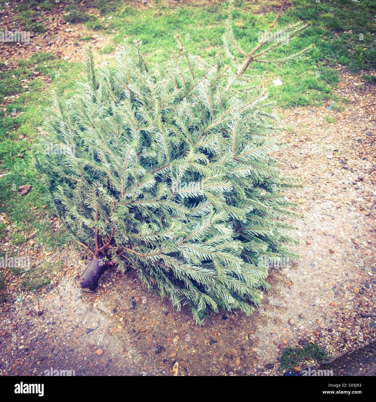 Dopo le feste. - Immagine stock catturata con smartphone