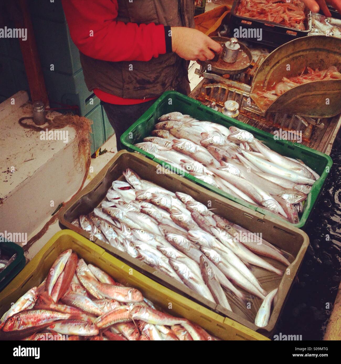 Fisherman vendita di pesce fresco in barca da pesca Foto Stock