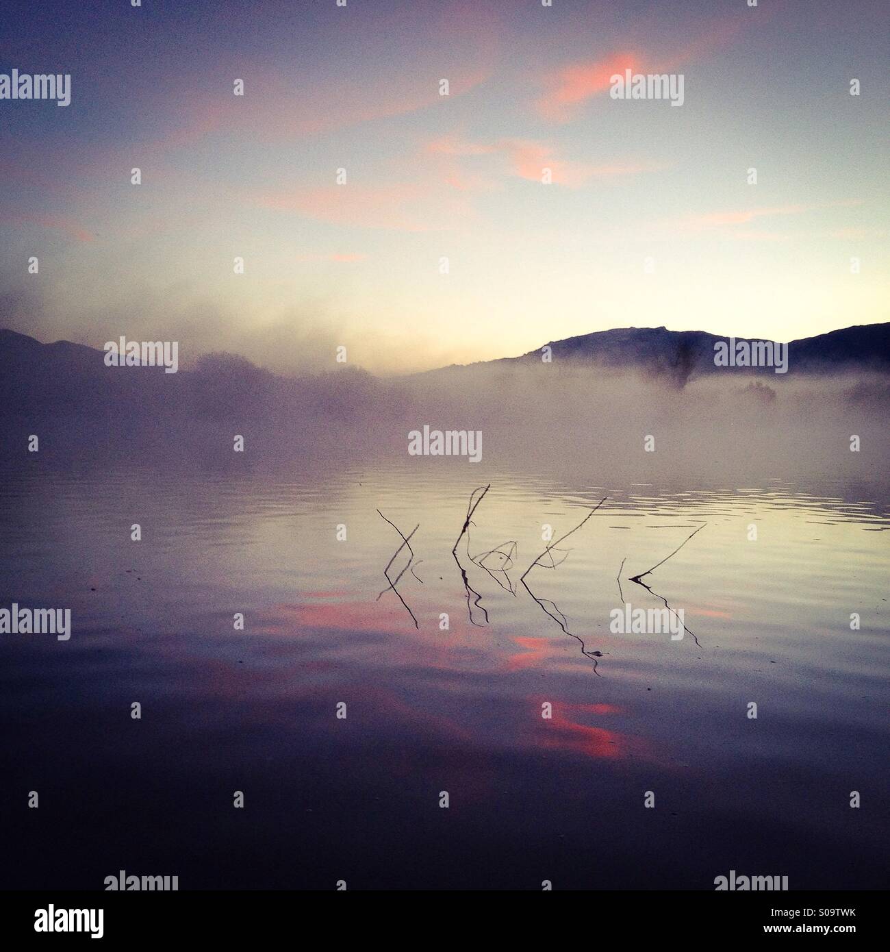 Nebbia di mattina su un lago. Foto Stock