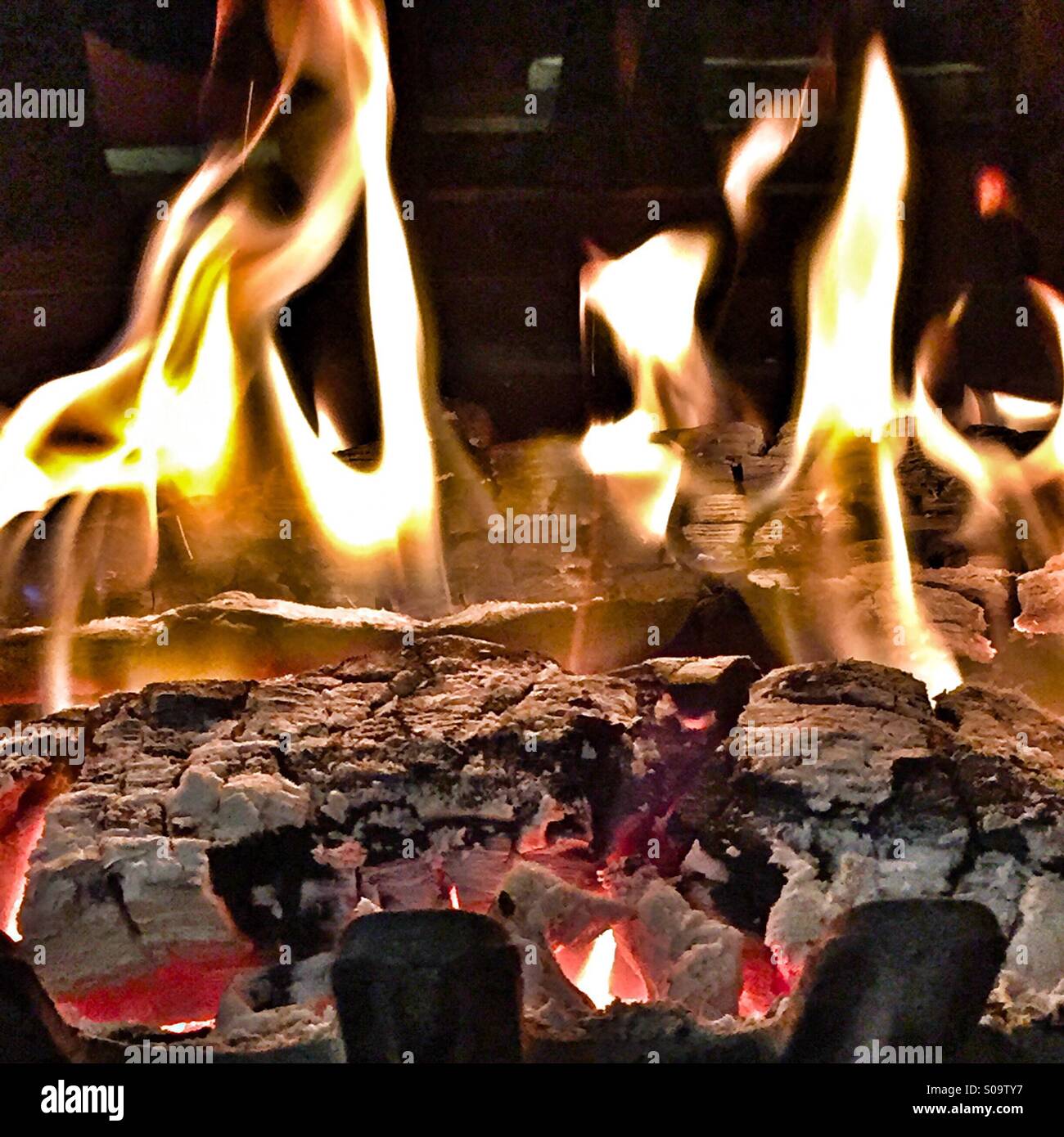 Chiusura del log, fiamme e brace ardente, USA, dicembre 14, 2014 © Katharine Andriotis Foto Stock