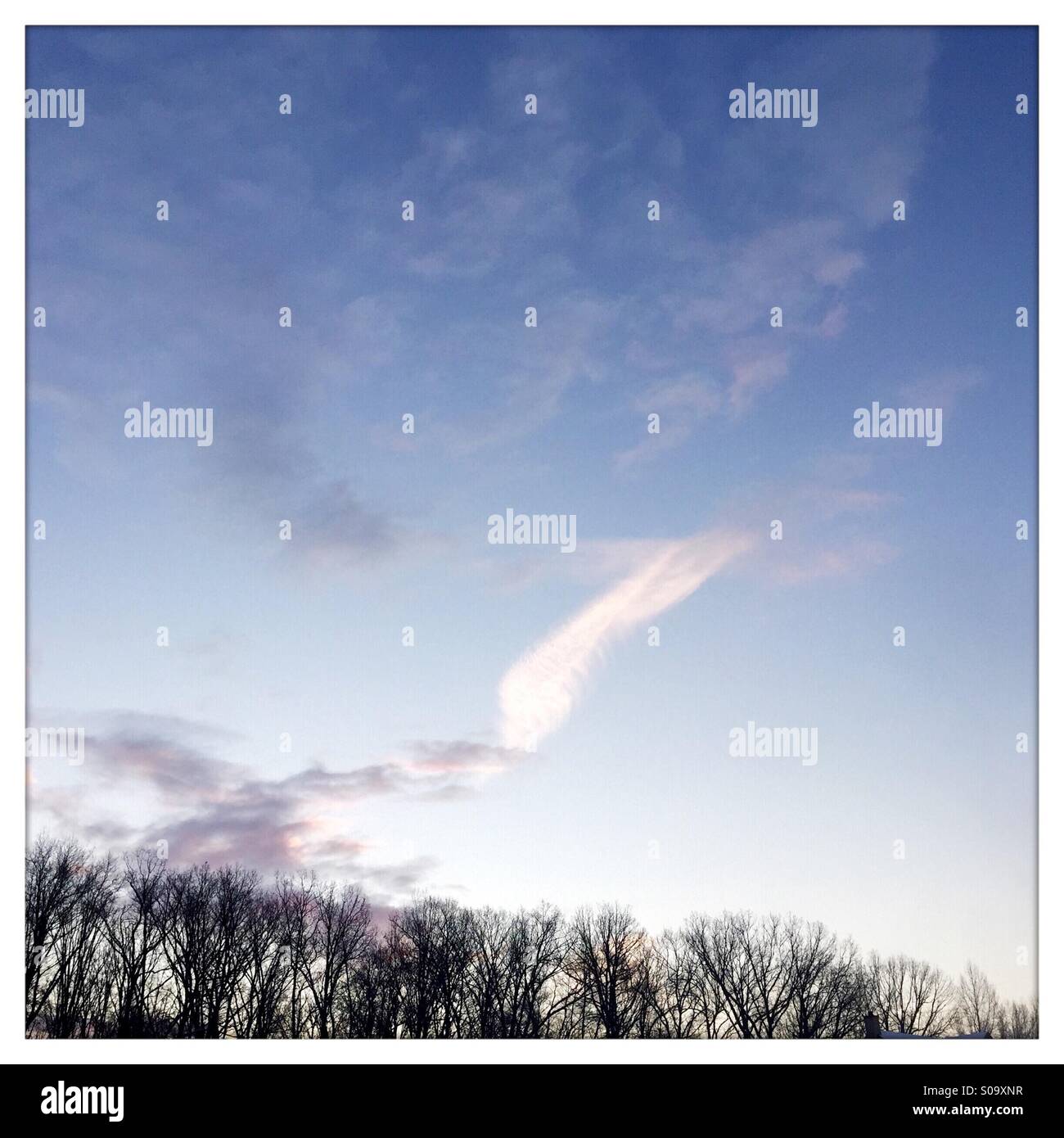 Treccia sfrondato e un blu cielo invernale con le nuvole Foto Stock
