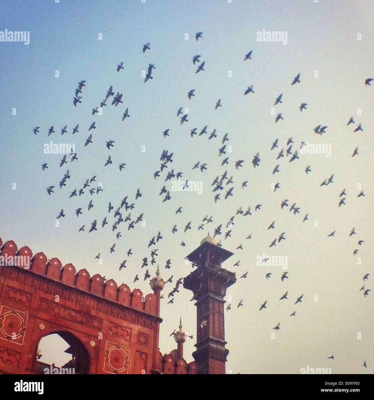 Uccelli in volo su un minareto a Lahore, in Pakistan. Foto Stock