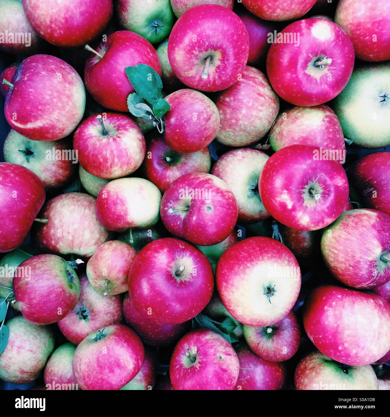 Sacco di mele Foto Stock