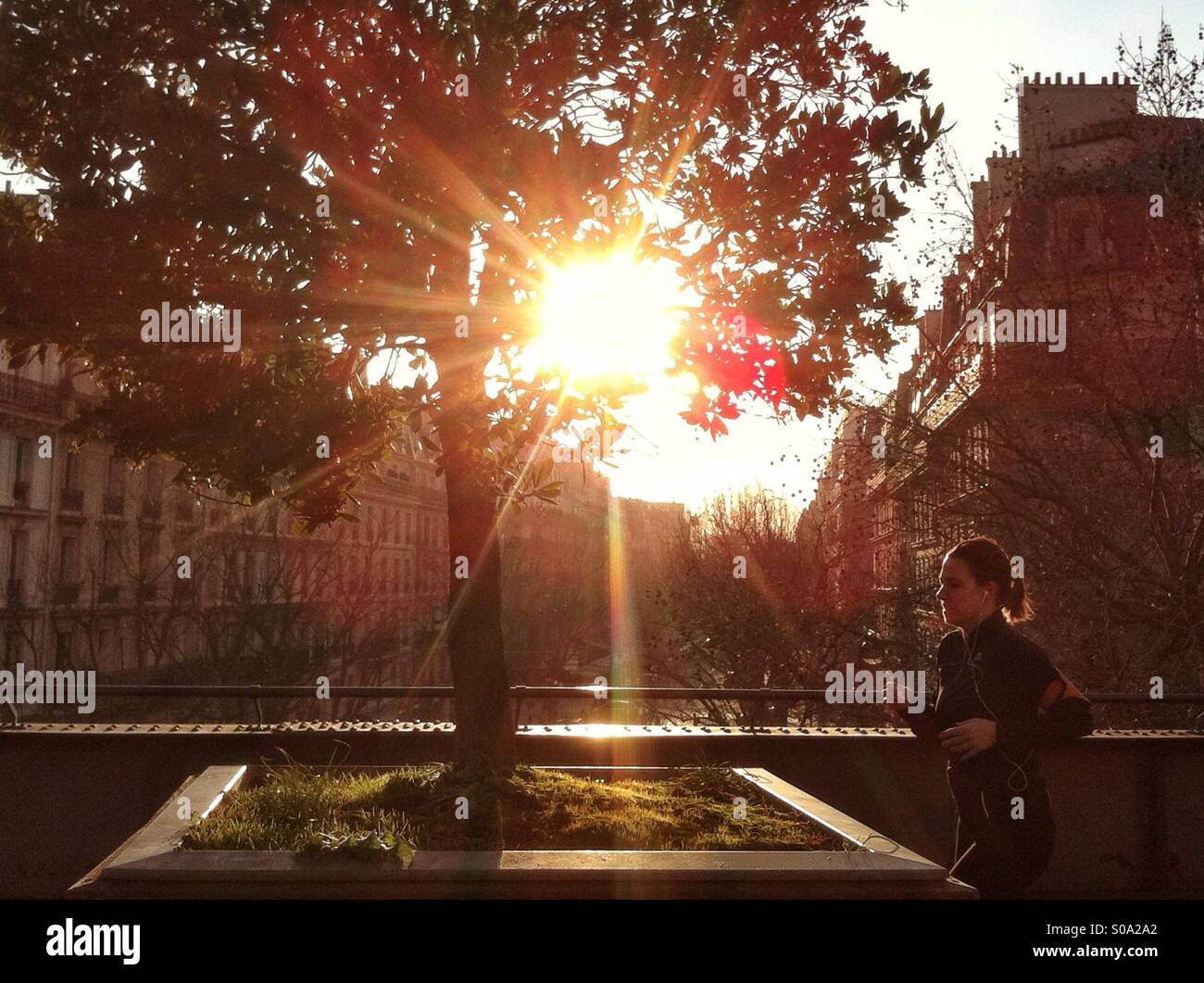 Un pareggiatore viene eseguito su in un parco durante un bellissimo tramonto. Foto Stock