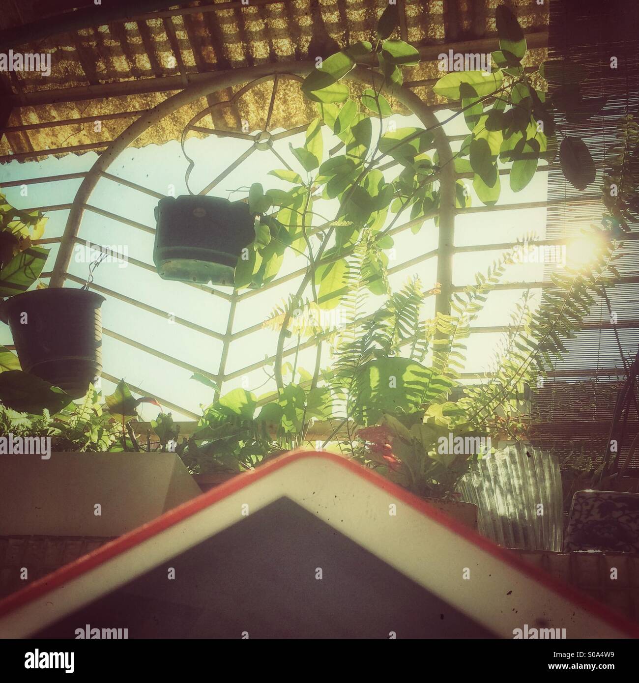 La lettura di un e-book sul balcone in un pomeriggio soleggiato Foto Stock