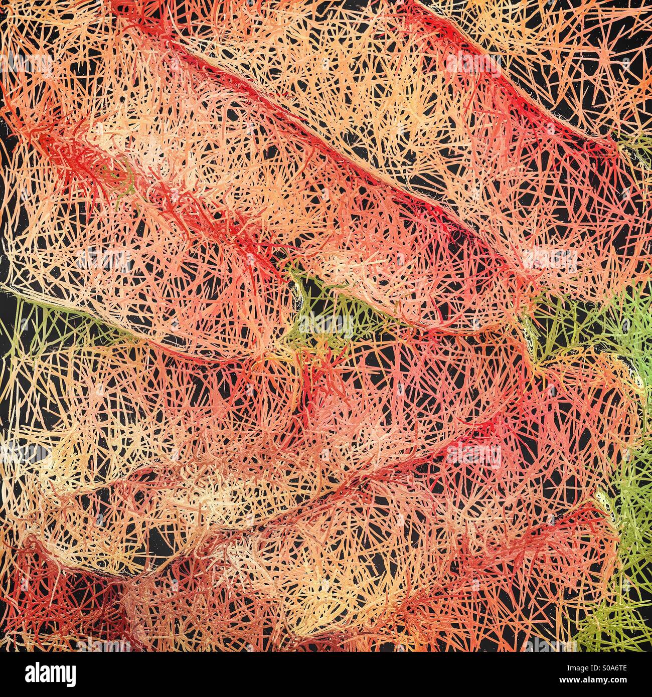Un abstract immagine artistica di migliaia di stringa come viticci simili a quelle persone le dita Foto Stock