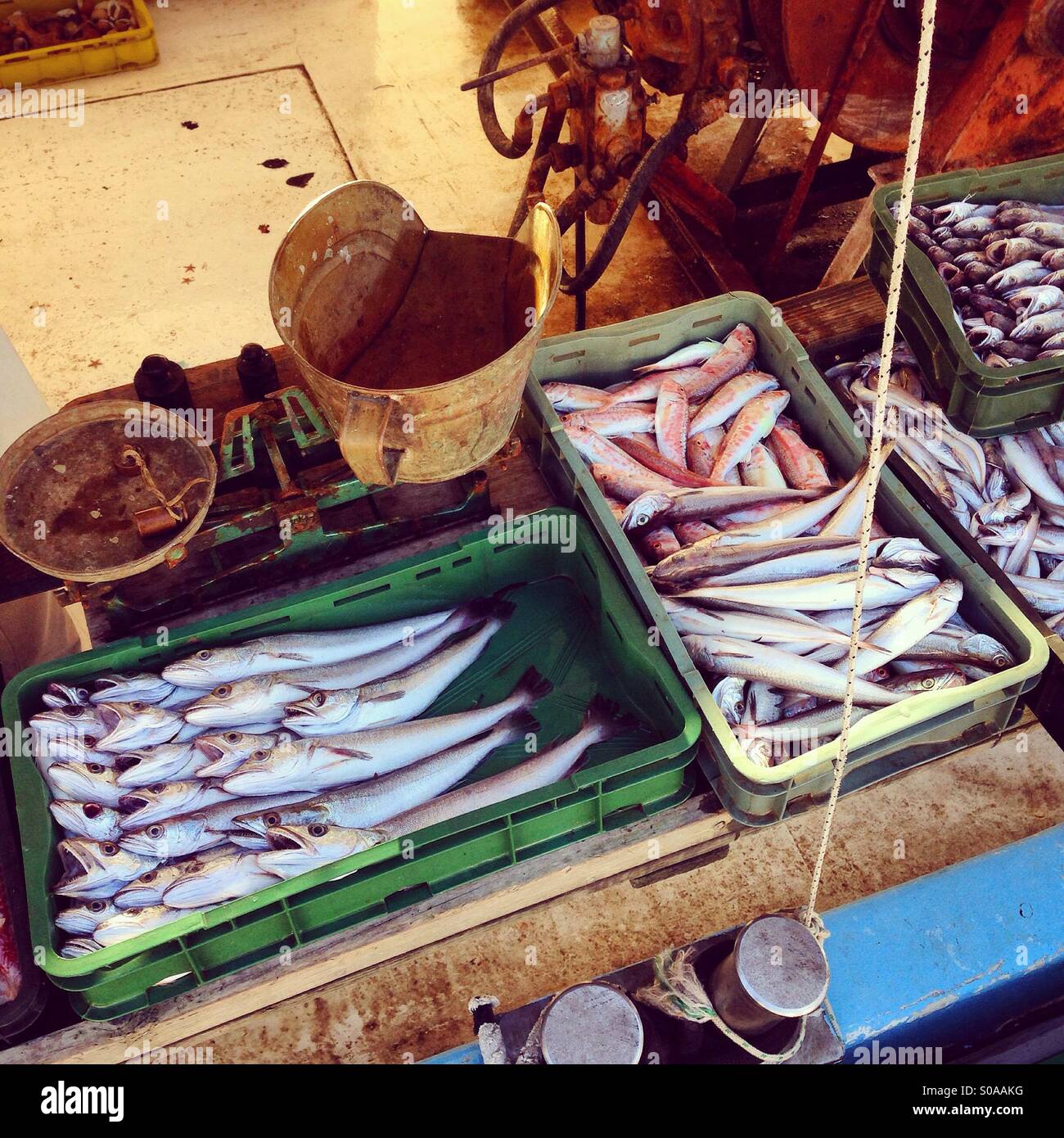 Vintage mercato del pesce in barca Foto Stock