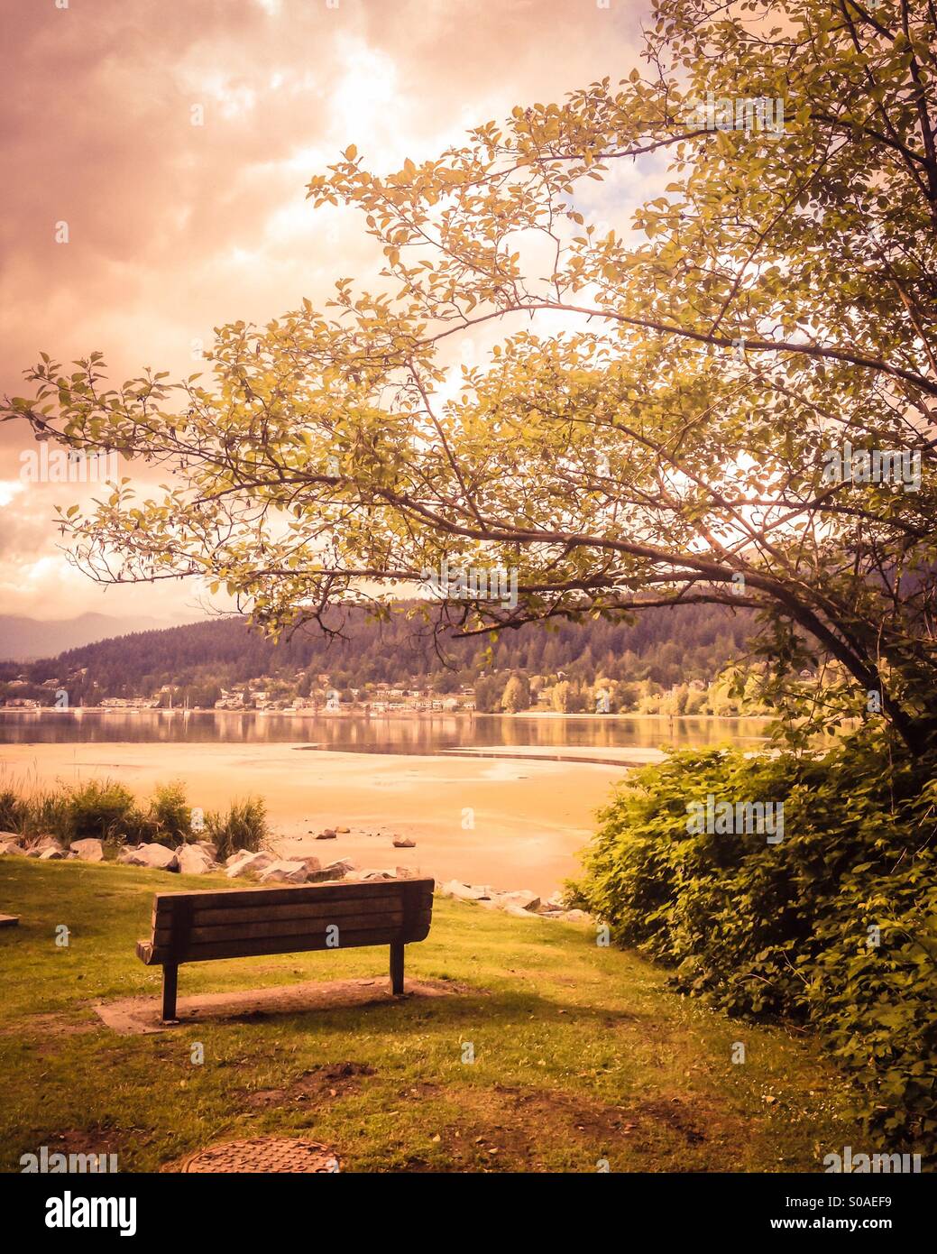 Svuotare una panchina nel parco con vista sul mare e le montagne in un giorno nuvoloso. - Immagine stock catturata con smartphone