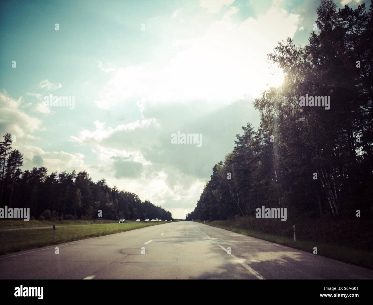 La guida su autostrada in Lettonia, bosco su entrambi i lati della strada, sun flare attraverso gli alberi Foto Stock