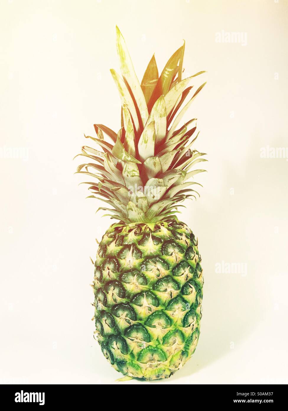 Ananas fresco frutta Foto Stock