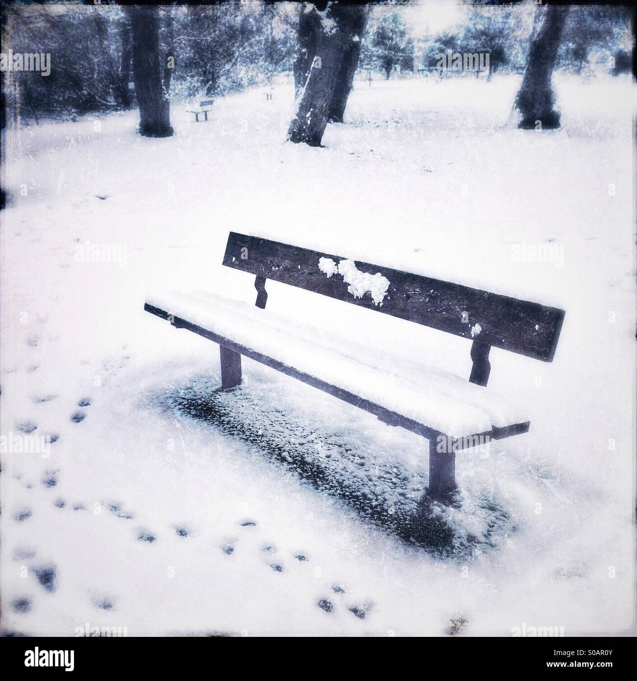 Una panchina nel parco coperto di neve e impronte Foto Stock