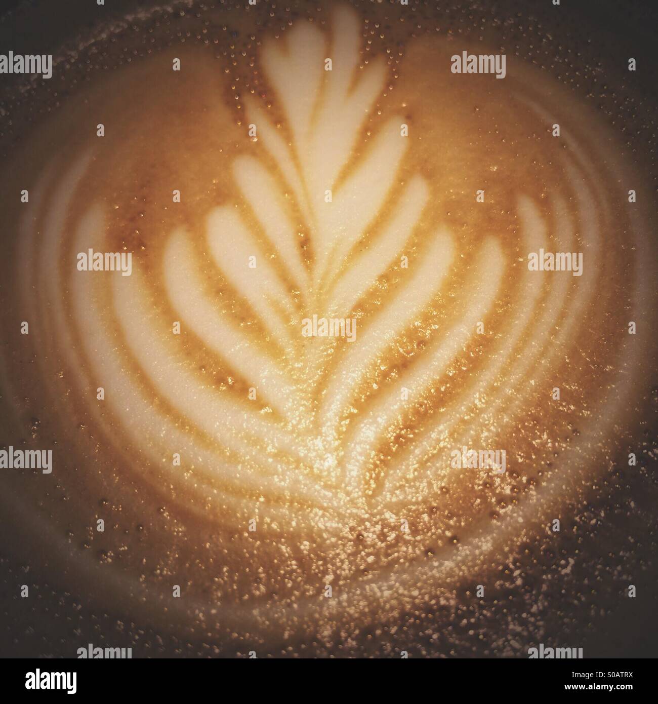 Schiuma di latte latte art alla sommità di un piatto bianco caffè Foto Stock