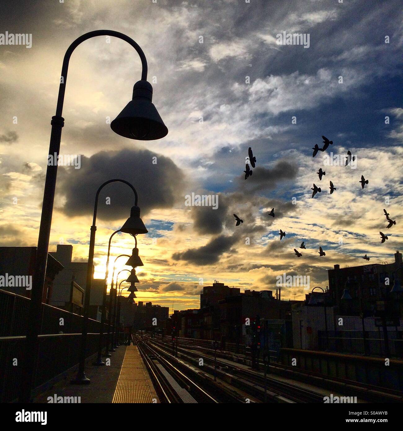 Sunrise e il gregge di piccioni al Marcy Avenue piattaforma della metropolitana di Brooklyn. Foto Stock
