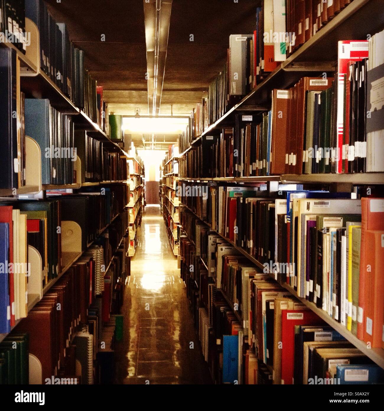 Un corridoio della biblioteca libri Foto Stock