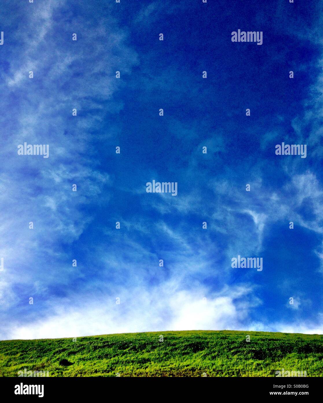 Wispy nuvole bianche in un cielo blu su una collina erbosa Foto Stock