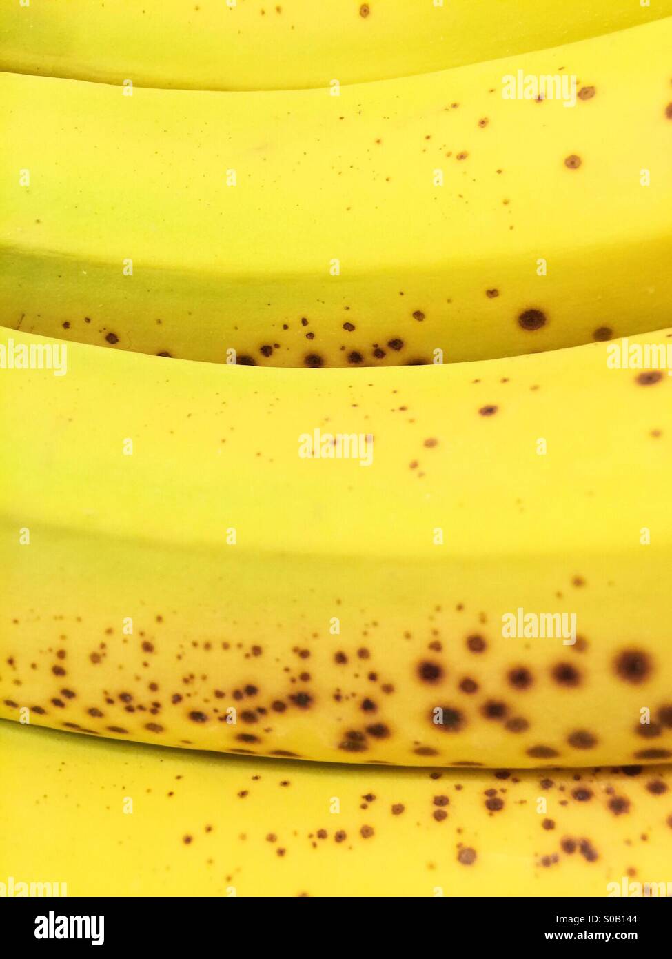 Banane - Immagine stock catturata con smartphone
