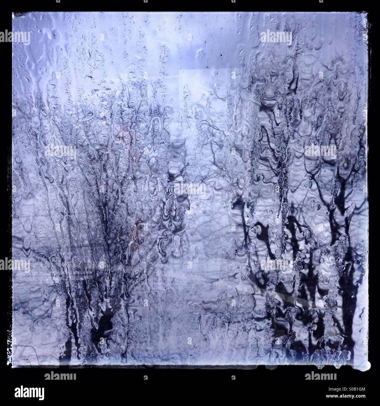 Gocce di pioggia su una finestra distorcere gli alberi al di fuori Foto Stock