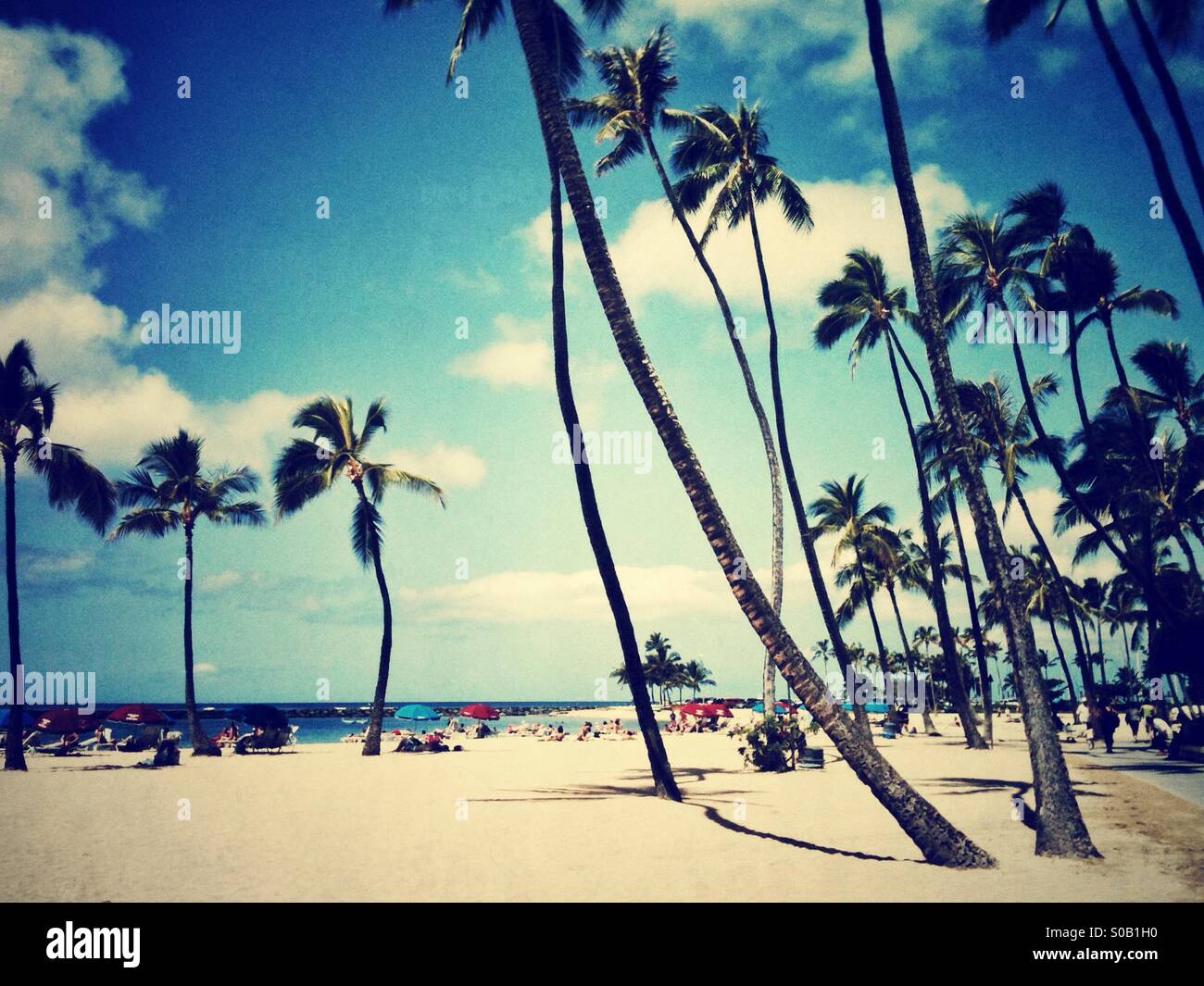 La spiaggia di Waikiki di Oahu Hawaii in una giornata di sole con palme e ombrelloni da spiaggia Foto Stock