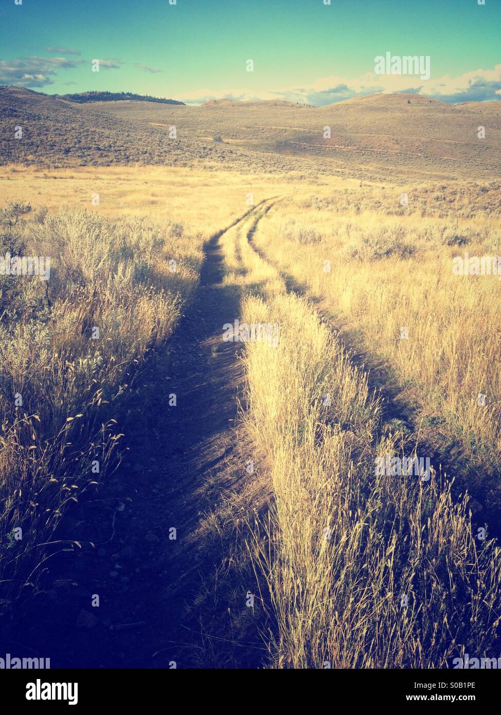 Fine giornata estiva in Occidente. Un percorso in alto di erba gialla portano lontano nell'orizzonte sotto il cielo caldo. - Immagine stock catturata con smartphone