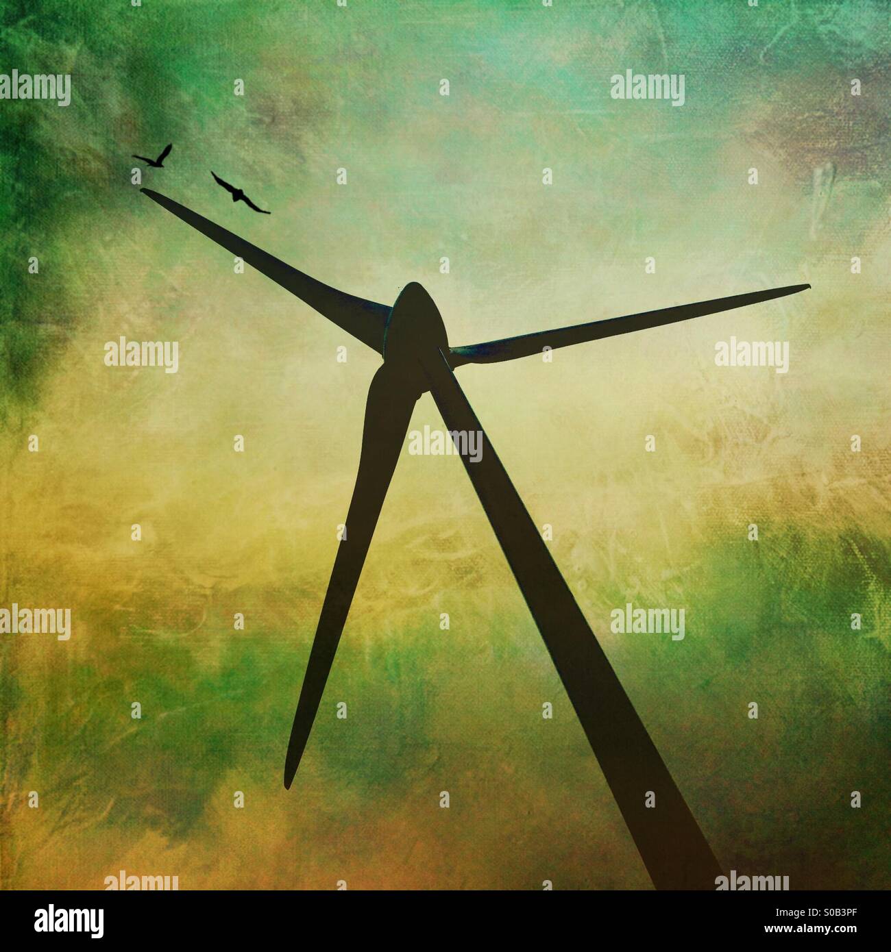 Turbina eolica con due uccelli Foto Stock