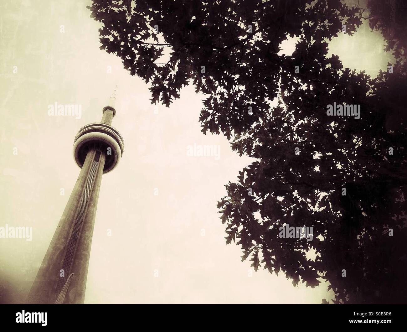 La CN Tower a Toronto in Canada Foto Stock