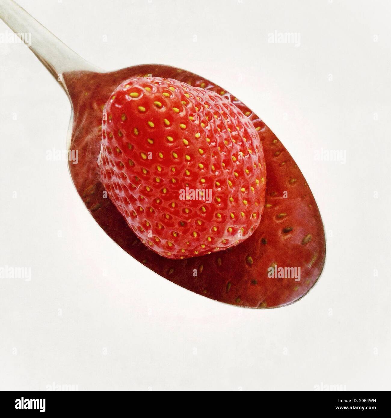 Una fragola su un cucchiaio. La riflessione lo rende simile la fragola è di fusione in una pozza. - Immagine stock catturata con smartphone