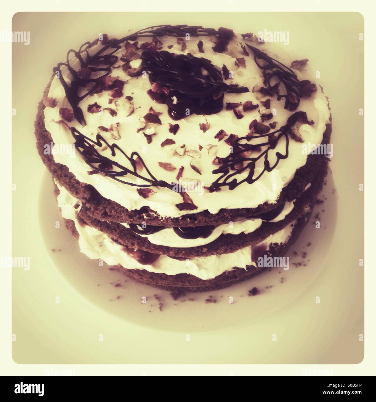 Black Forest gateau torta Foto Stock