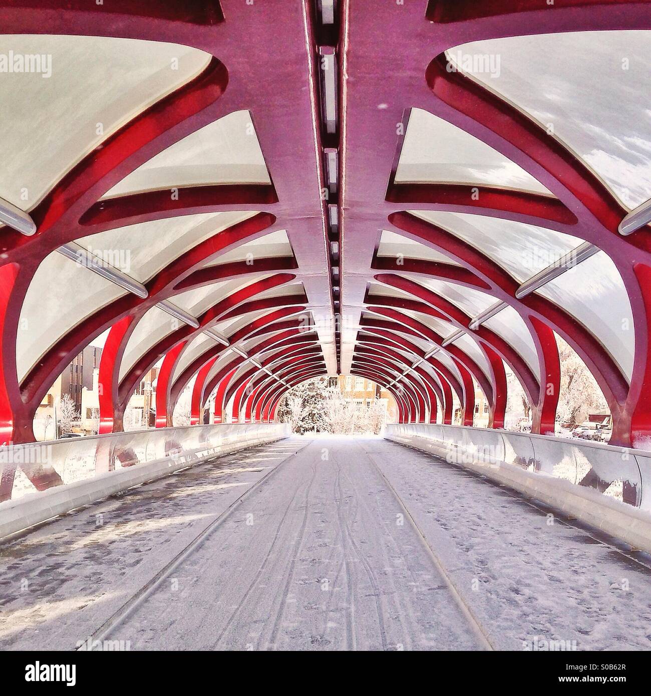 Calgary il ponte di pace, coperte di neve, sia dentro che fuori. Foto Stock