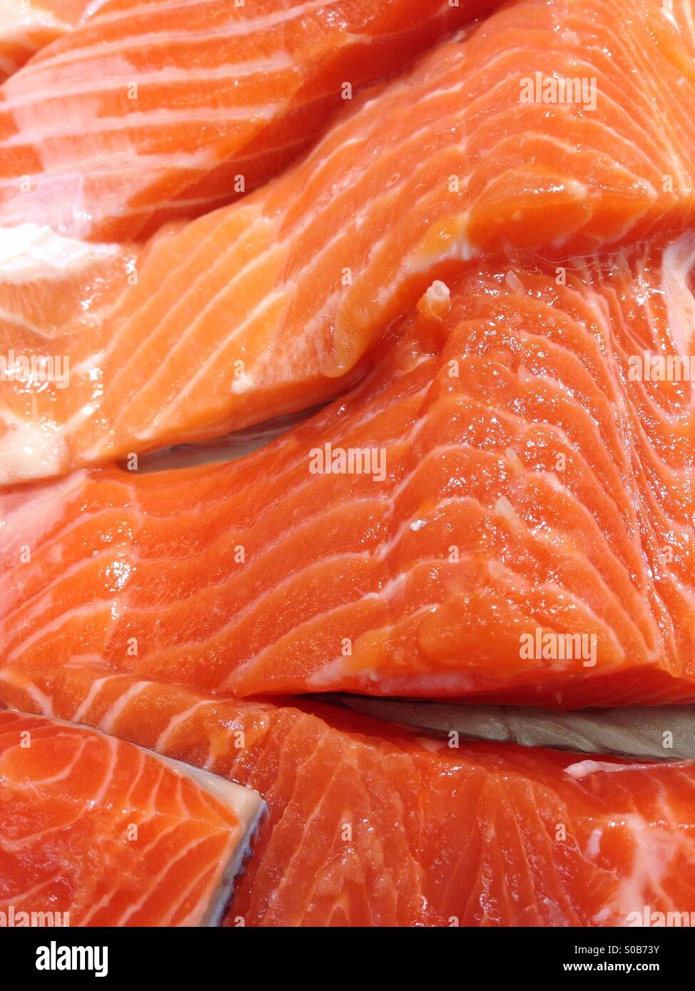 Pesci di color salmone Foto Stock