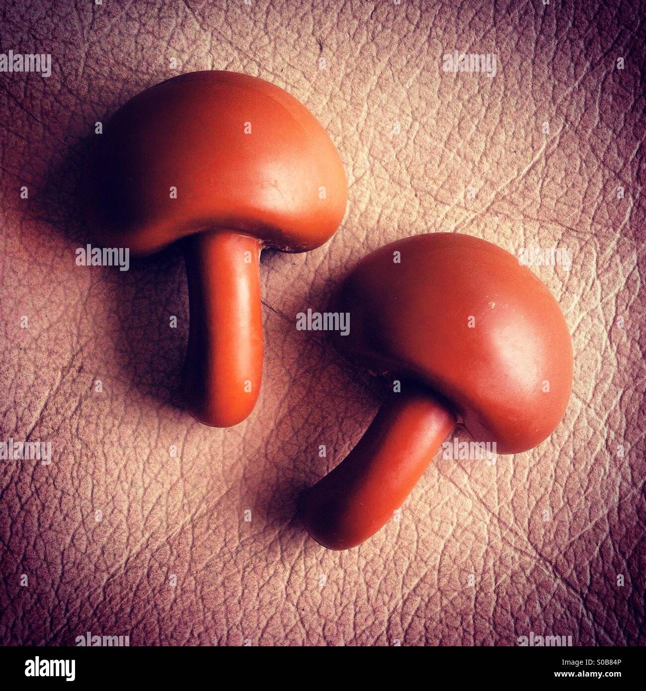 Funghi in plastica Foto Stock