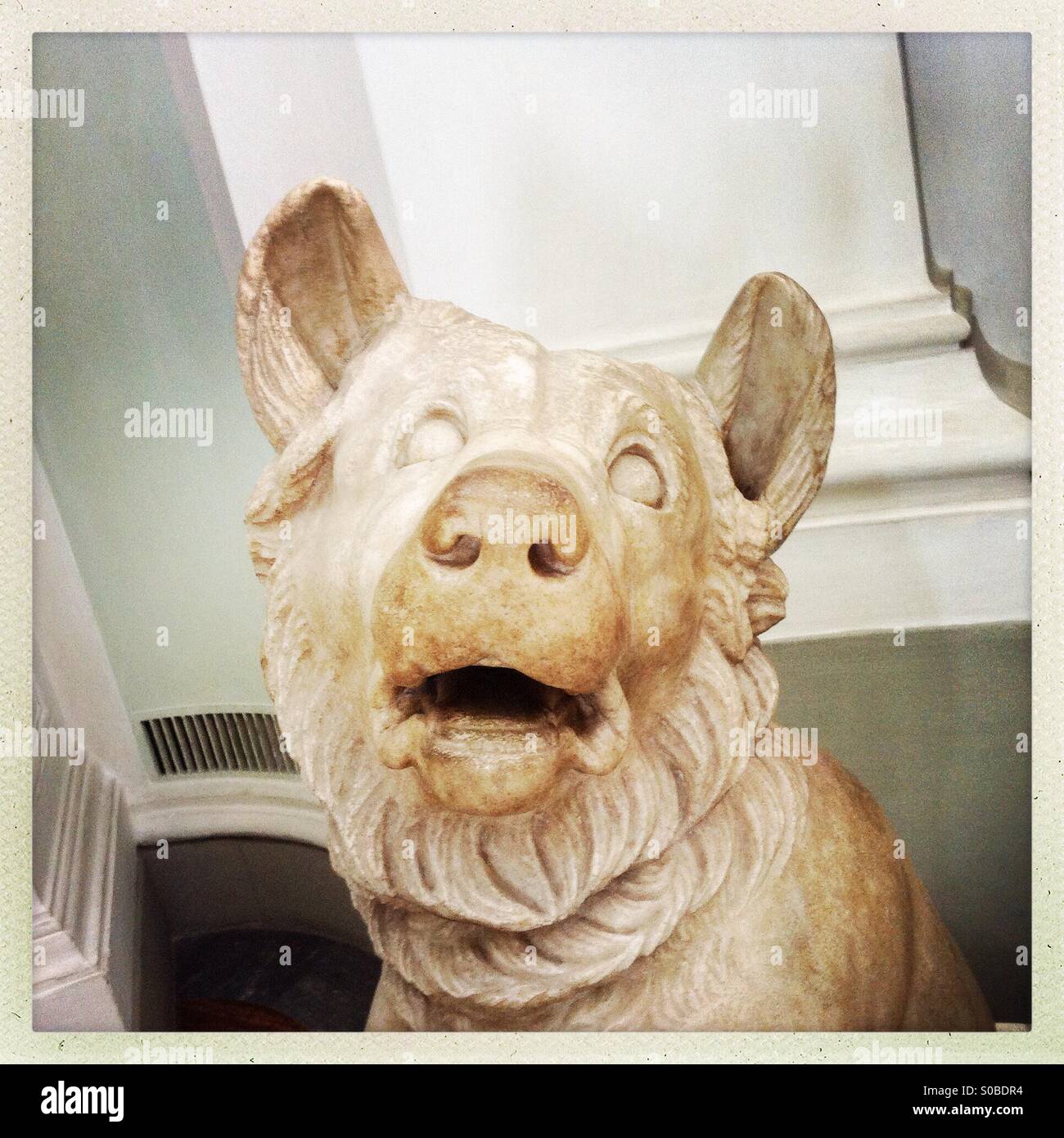 Statua romana di un cane - Immagine stock catturata con smartphone