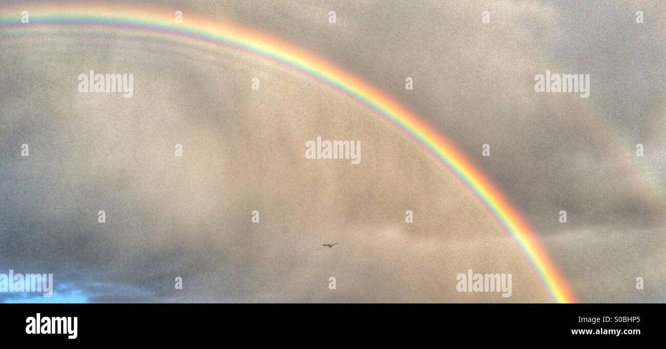 Vivid rainbow contro un cielo nuvoloso con un uccello che sta volando Foto Stock