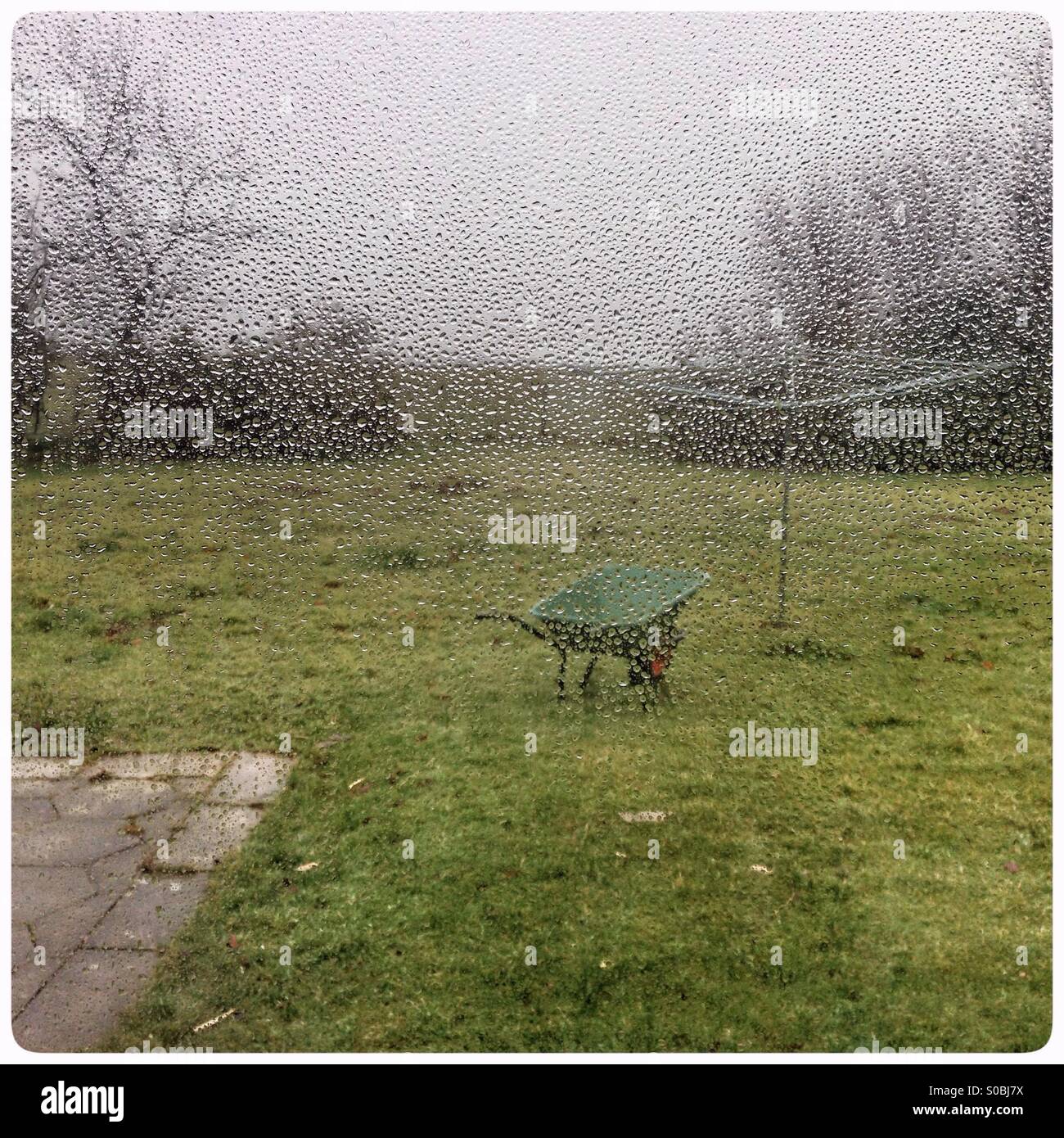 Le gocce di pioggia sul vetro di una finestra che guarda su un tetro giardino sul retro - Immagine stock catturata con smartphone
