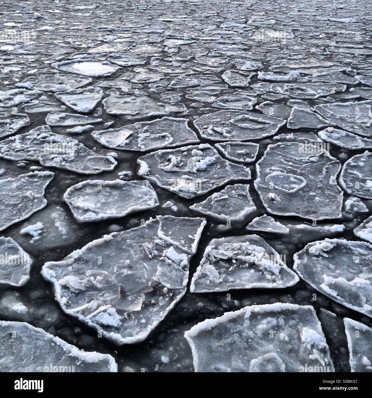 Abstract dettaglio immagine di pancake floes di ghiaccio sul fiume Hudson in New York City. Foto Stock