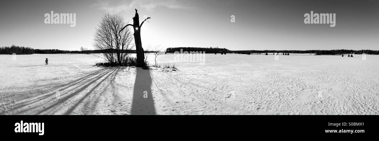 Strane albero morto e il paesaggio invernale Foto Stock