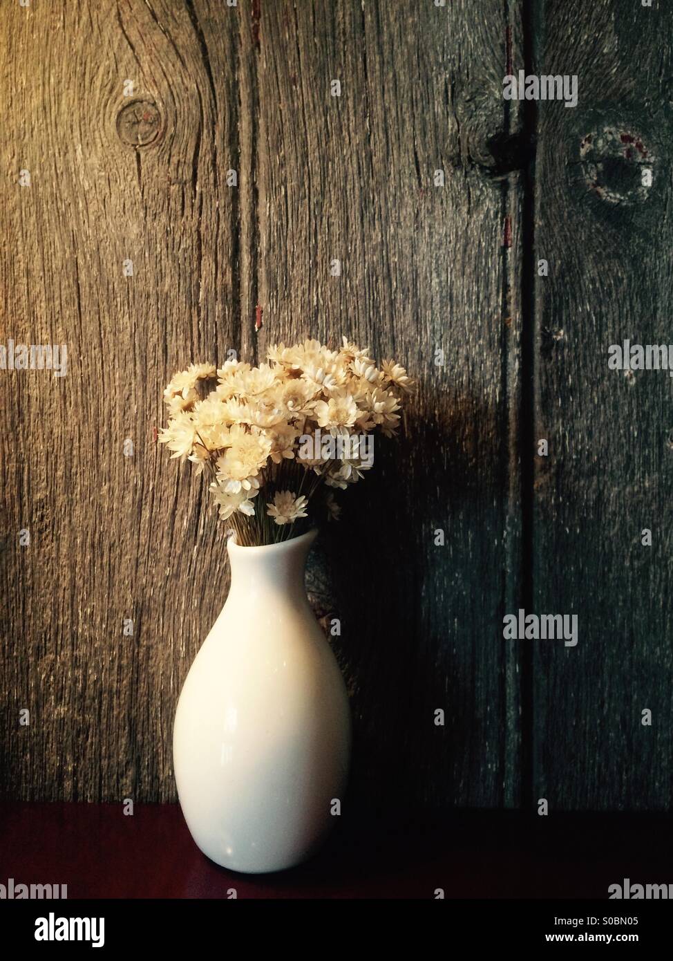 Fiori contro un fienile-parete in legno Foto Stock