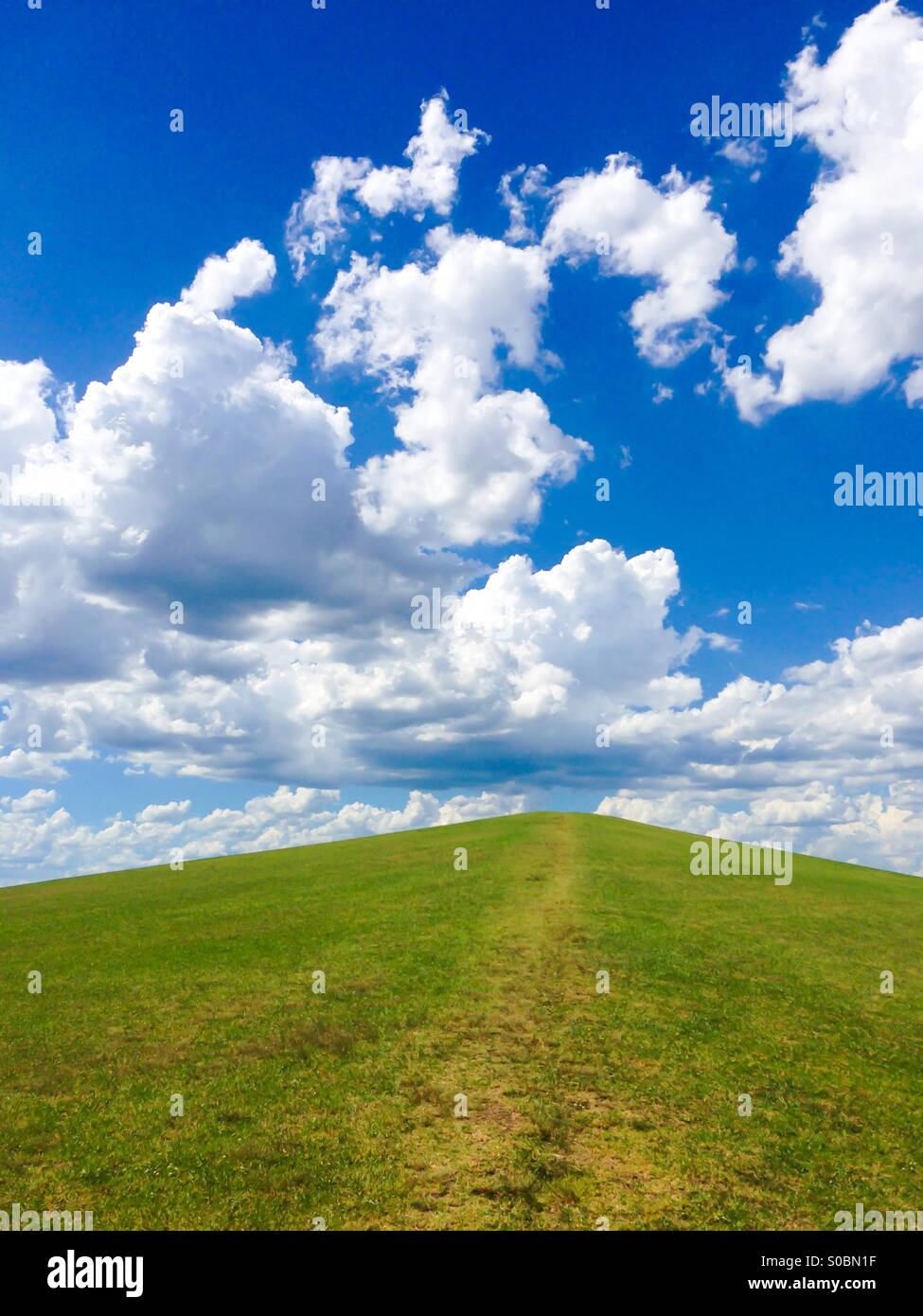 La collina verde / blu cielo Foto Stock