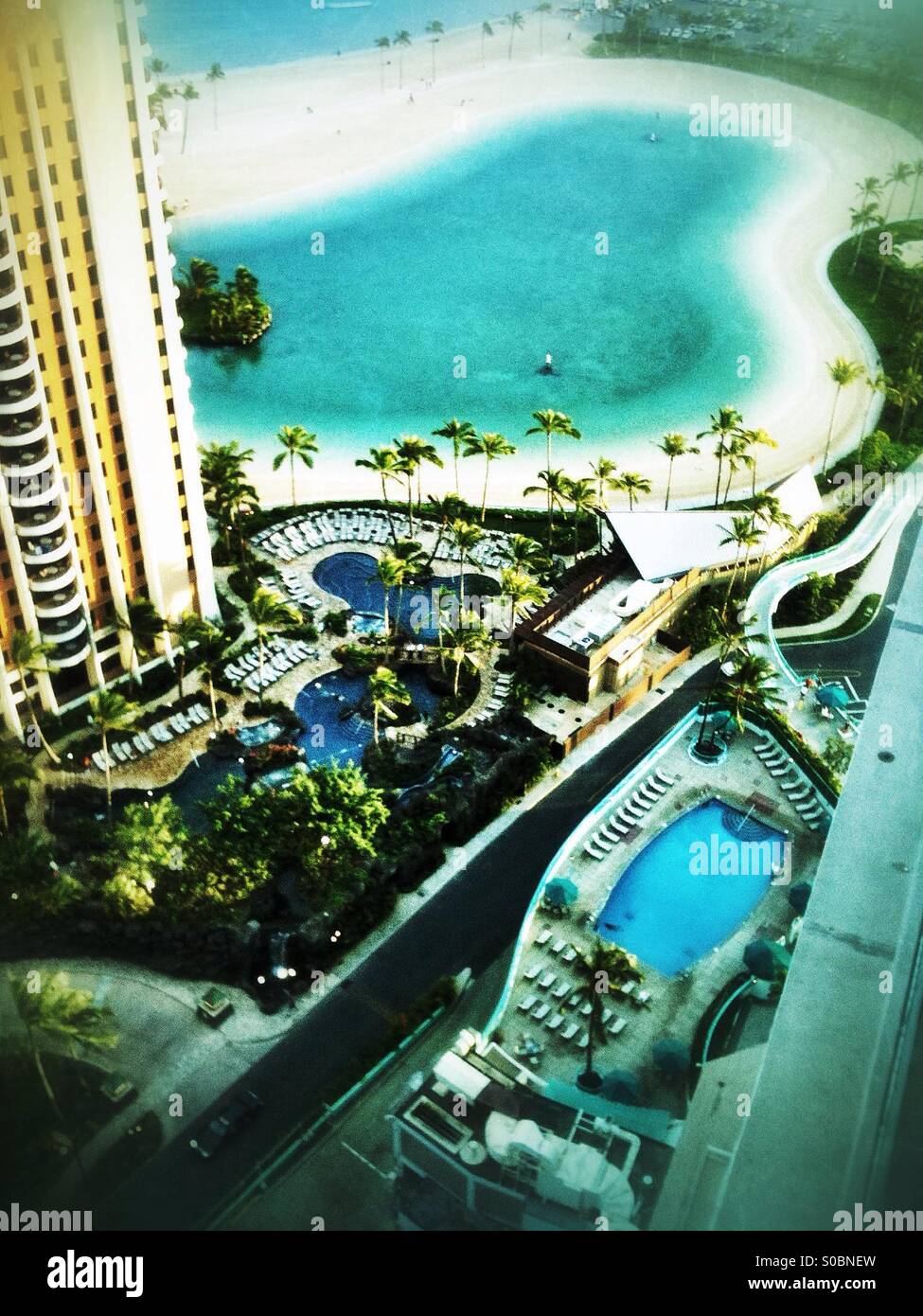 Vista degli uccelli del paradiso tropicale - Immagine stock catturata con smartphone