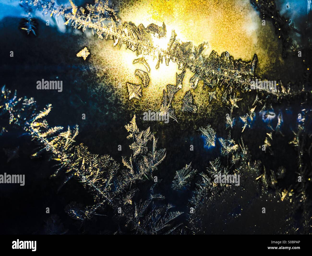 Frost Foto Stock